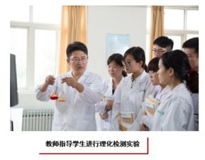 食品检验检测技术 技术手段、应用与发展趋势